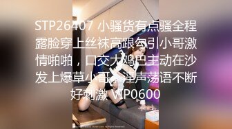 STP26407 小骚货有点骚全程露脸穿上丝袜高跟勾引小哥激情啪啪，口交大鸡巴主动在沙发上爆草小哥，淫声荡语不断好刺激 VIP0600