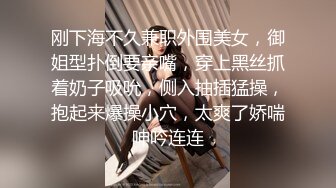 美人胚反差婊❤️极品身材性感连衣裙 优雅与风骚并存 穿上衣服是你优雅端庄的女神 脱下衣服是你的放荡风骚的小母狗