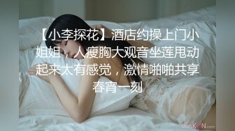 《禁止的爱：善良的小姨子》[韩语中字]