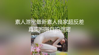 高超口技的女仆