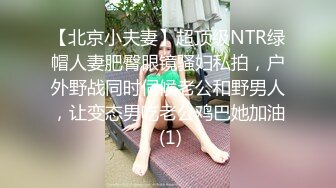 淫荡对白销魂呻吟，推特约炮大咖【夏次健】自传，调教爆肏巨乳肥臀小母狗，无套暴力输出肏到尖叫喊爸爸 (1)