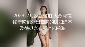 后入臃肿肥臀非一般的感觉