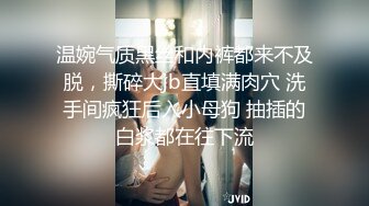 温婉气质黑丝和内裤都来不及脱，撕碎大jb直填满肉穴 洗手间疯狂后入小母狗 抽插的白浆都在往下流