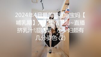 2024年4月最美哺乳期宝妈【哺乳期】为了生活下海~直播挤乳汁!湿哒哒，小少妇颇有几分姿色 (2)