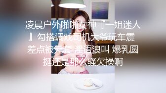 后入操丝袜少妇