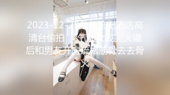 蓝色女仆装女友上线