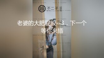 穿情趣内衣收快递的骚妻