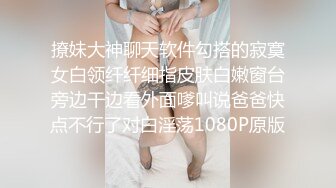 pcolle电车痴汉片商神回流出合集【17V】 (13)