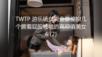 TWTP 游乐场女厕全景偷拍几个撅着屁股嘘嘘的高颜值美女4 (2)