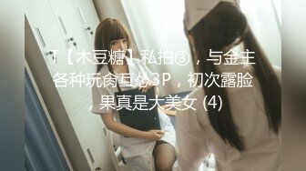 麻豆傳媒&amp;肉肉傳媒RR-003空降女優送美艷女優到你家