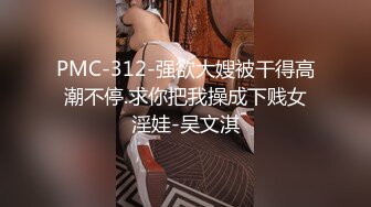 PMC-312-强欲大嫂被干得高潮不停.求你把我操成下贱女淫娃-吴文淇