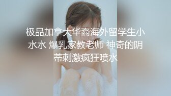 麻豆传媒 MCY0082 极品淫娃女仆靠逼上位 李允熙