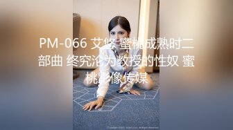 STP22586 渔网情趣装 D罩杯粉乳 风骚小姐姐遇上打桩机 激情碰撞 骚叫震天响 注定一场视觉性爱盛宴