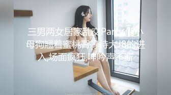 芭比 (46)