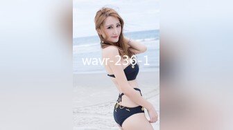 wavr-236-1