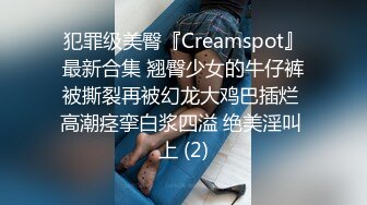 《顶级震撼极品母狗》最新万狼求购网红地狱调教大师【狗主人】私拍，多种刺激玩法SM调教滴蜡吃精肛链打桩机 (6)