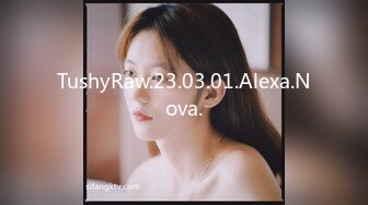 heyzo-0334