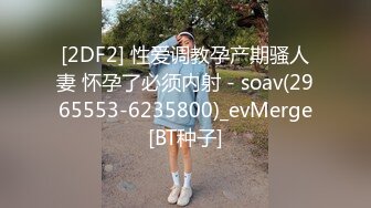 [2DF2] 性爱调教孕产期骚人妻 怀孕了必须内射 - soav(2965553-6235800)_evMerge[BT种子]